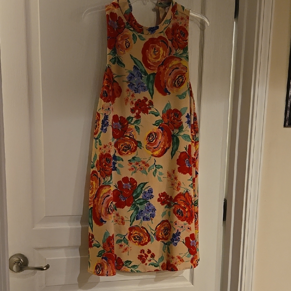 Everly Multicolor Floral Mini Dress